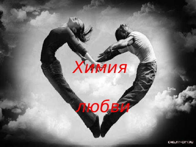 Химия любви 