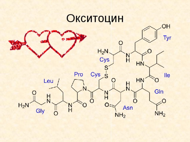 Синтез окситоцина схема