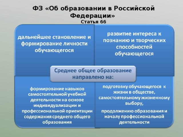     ФЗ «Об образовании в Российской Федерации»  Статья 66    