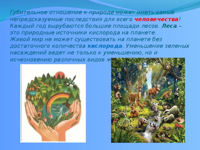 Как моя семья помогает природе. img5. Как моя семья помогает природе фото. Как моя семья помогает природе-img5. картинка Как моя семья помогает природе. картинка img5