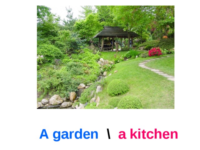 A garden \ a kitchen  