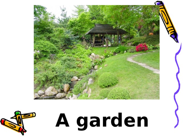 A garden 
