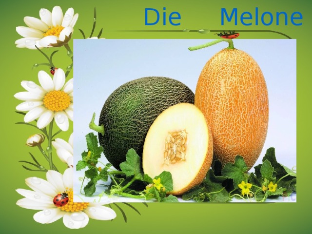 Die Melone 