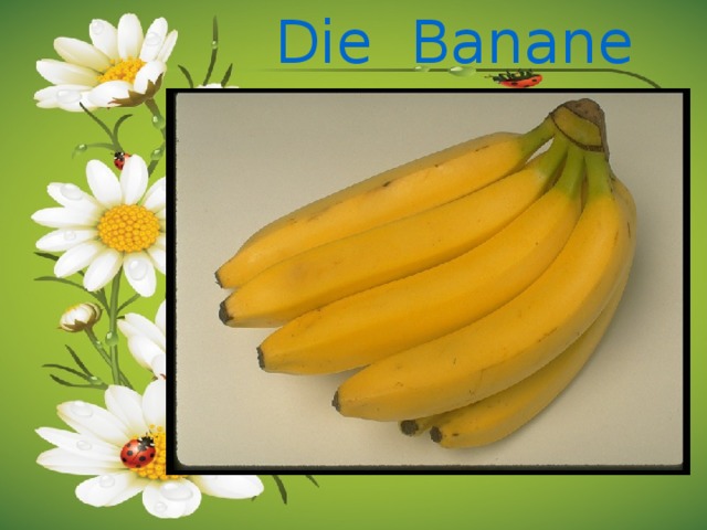 Die Banane 