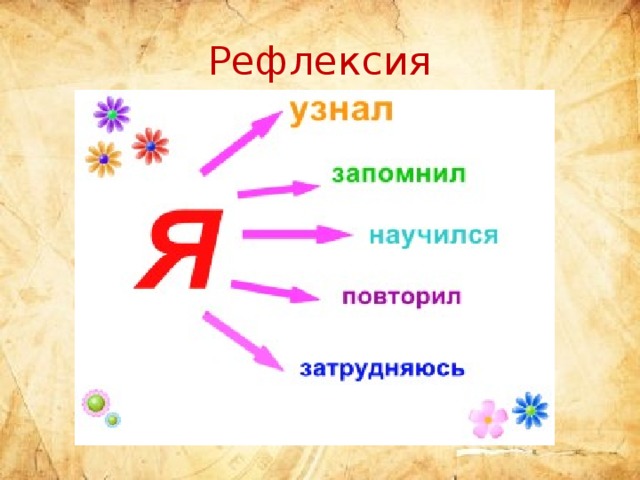 Рефлексия 