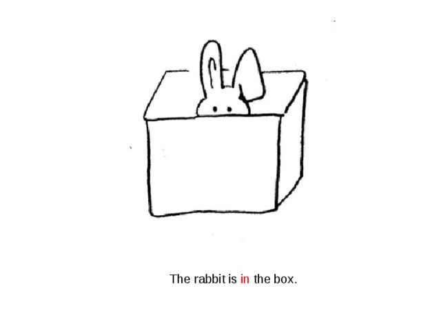 The rabbit is in the box. 