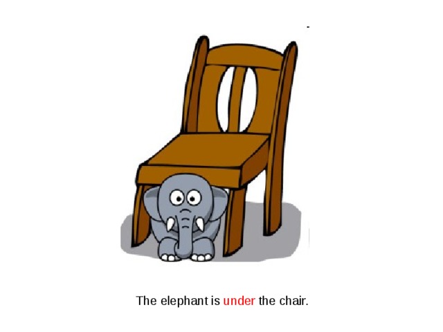 The elephant is under the chair. 