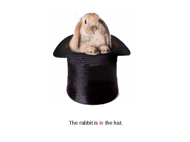 The rabbit is in the hat. 