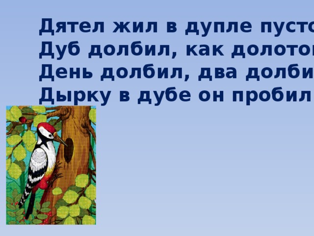 Дятел дуб. Дятел дуб долбил. Дятел жил в дупле. Дятел жил в дупле пустом дуб долбил как долотом. Стих про дупло.