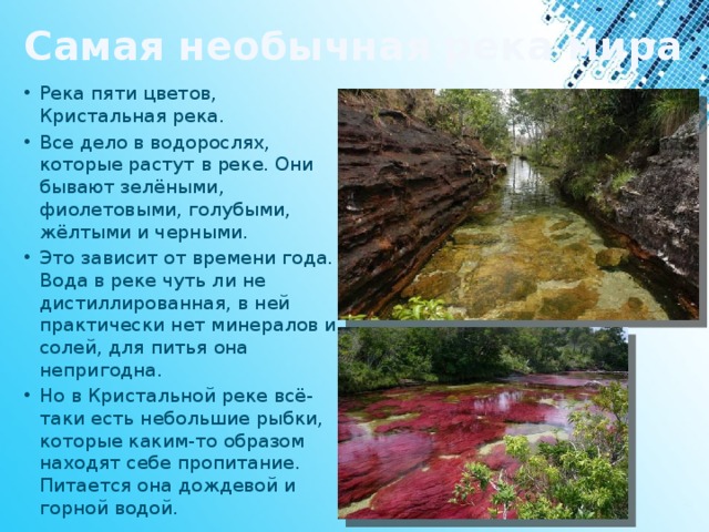Проект по окружающему миру про реки Самые необычные реки