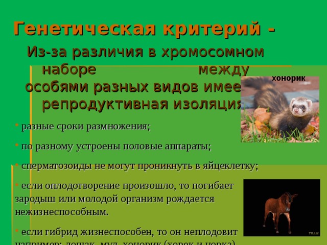 Генетический критерий