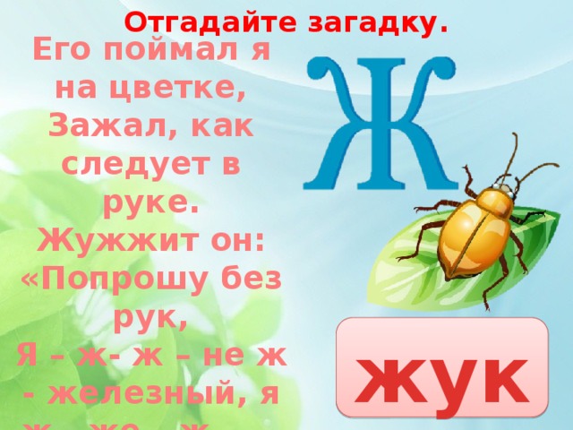 Картинка жука с буквой ж