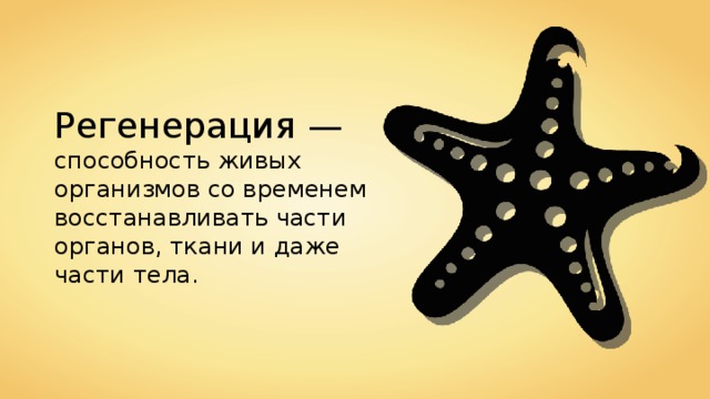 Регенерация — способность живых организмов со временем восстанавливать части органов, ткани и даже части тела. 