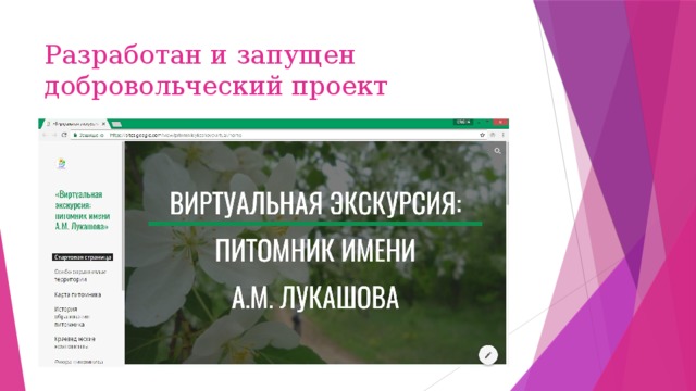 Разработан и запущен добровольческий проект 