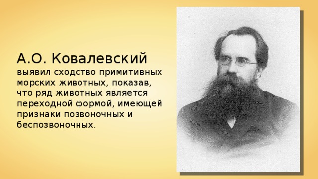 Ковалевский александр онуфриевич презентация