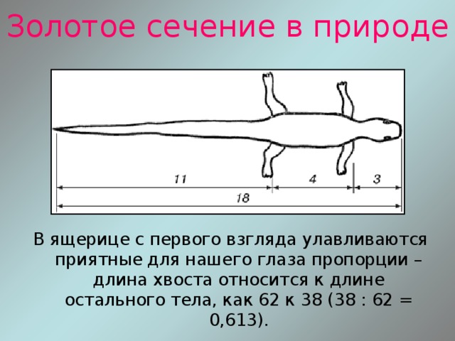 Правый глаз лежал в стакане остальное на диване