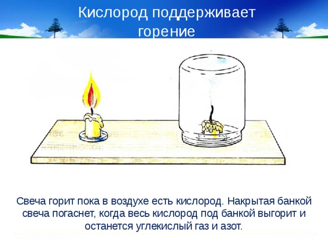Почему кислород горит. Кислород поддерживает горение. Опыт горение свечи. Опыт со свечкой и банкой.