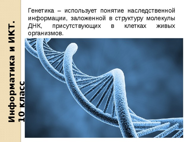 Информатика и ИКТ. 10 класс Генетика – использует понятие наследственной информации, заложенной в структуру молекулы ДНК, присутствующих в клетках живых организмов. 