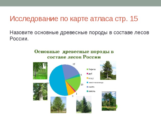 Исследование по карте атласа стр. 15 Назовите основные древесные породы в составе лесов России. 