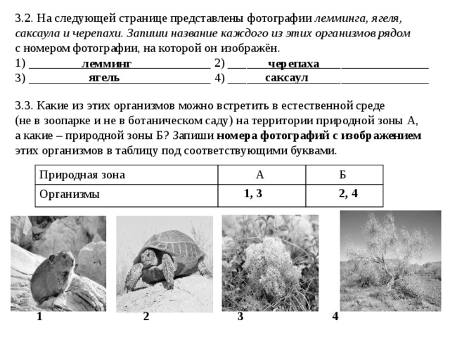 На следующей странице представлены фотографии дуба зубра северного оленя и лемминга