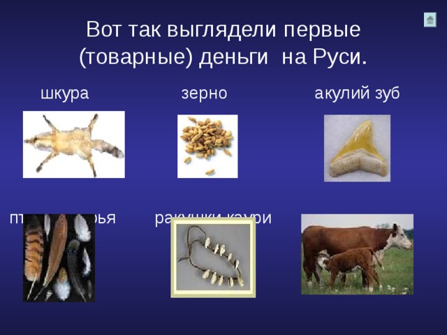 Вот так выглядели первые (товарные) деньги на Руси.   шкура зерно акулий зуб    птичьи перья ракушки каури скот 
