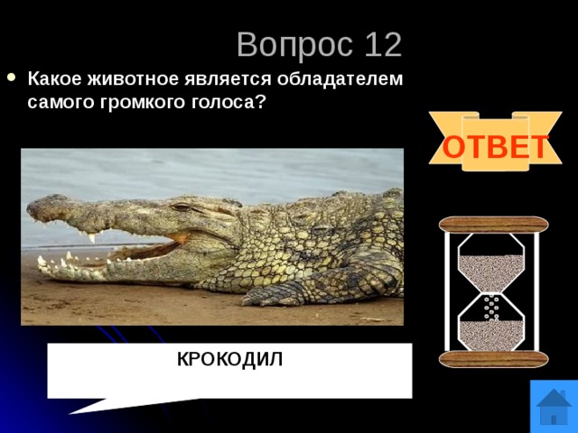 Вопрос 12 Какое животное является обладателем самого громкого голоса? ОТВЕТ КРОКОДИЛ 