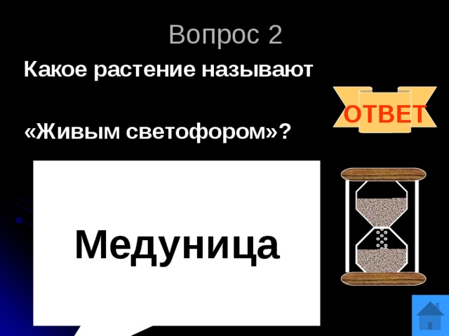 Вопрос 2 Какое растение называют  «Живым светофором»? ОТВЕТ    Медуница  