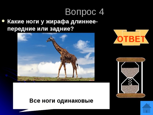 Вопрос 4 Какие ноги у жирафа длиннее- передние или задние? ОТВЕТ   Все ноги одинаковые 