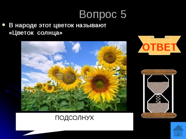 Вопрос 5 В народе этот цветок называют «Цветок солнца» ОТВЕТ ПОДСОЛНУХ 