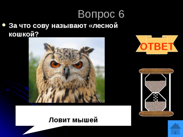 Вопрос 6 За что сову называют «лесной кошкой? ОТВЕТ  Ловит мышей 