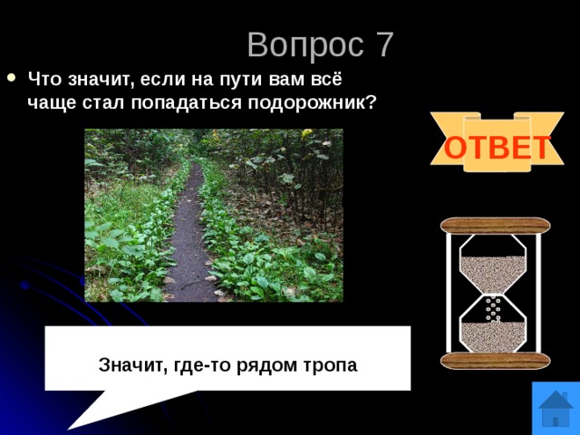 Значащий ответ. Что значит если на пути вам все чаще стал попадаться подорожник. Что значит если на пути все чаще стал попадаться подорожник. На пути часто попадается подорожник. Что означает если на дороге попадается подорожник.