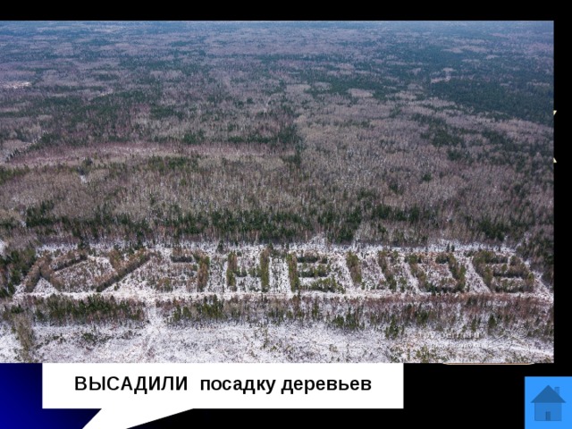 Вопрос 7 в 1977 Кудымкарскому лесхозу было присвоено имя легендарного разведчика Николая Кузнецова. Местные жители увековечили это имя на века.   ОТВЕТ  ВЫСАДИЛИ посадку деревьев 