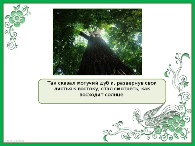 Так сказал могучий дуб и, развернув свои листья к востоку, стал смотреть, как восходит солнце. 