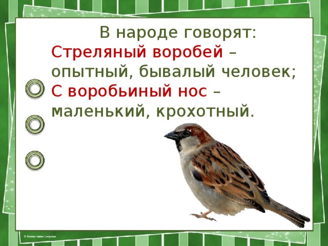 В народе говорят: Стреляный воробей – опытный, бывалый человек; С воробьиный нос – маленький, крохотный.