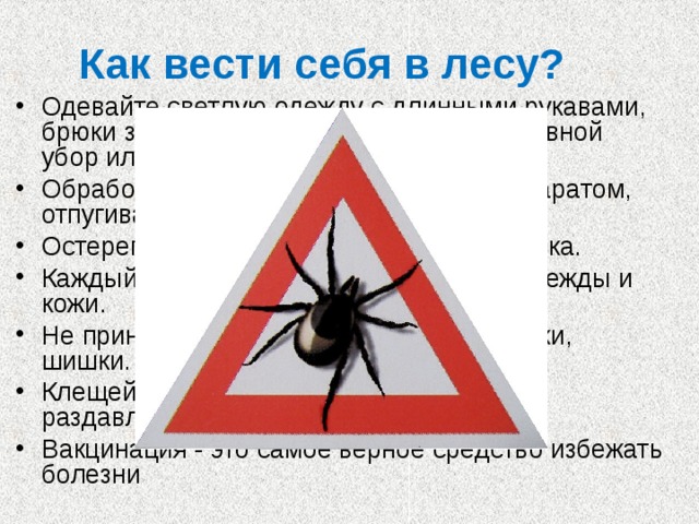 Проект на тему осторожно клещи по биологии 7 класс