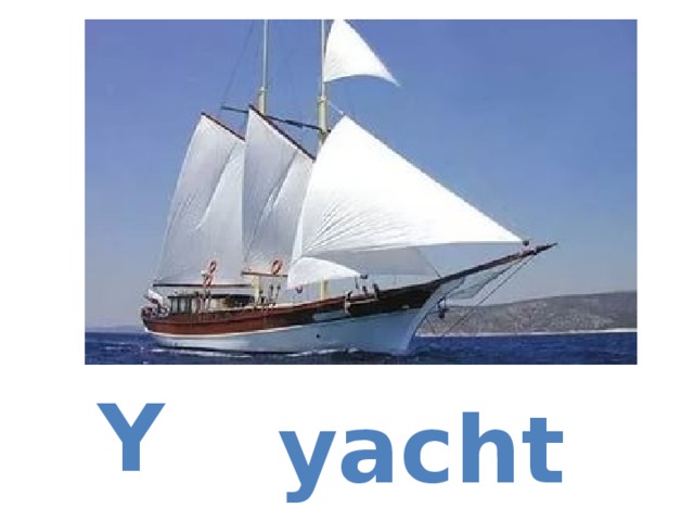 Y yacht