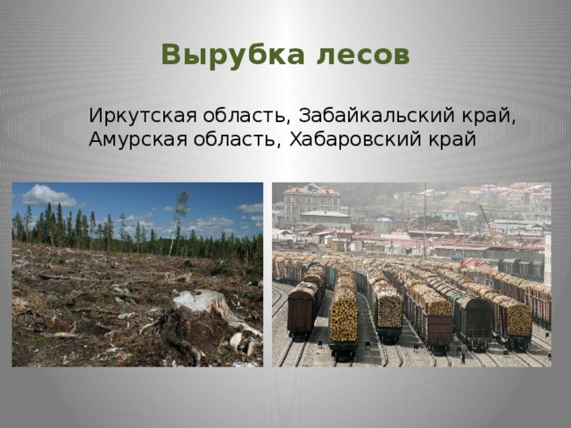 Вырубка лесов Иркутская область, Забайкальский край, Амурская область, Хабаровский край 