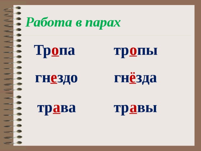 Работа в парах Тр о па тр о пы гн е здо гн ё зда тр а ва тр а вы