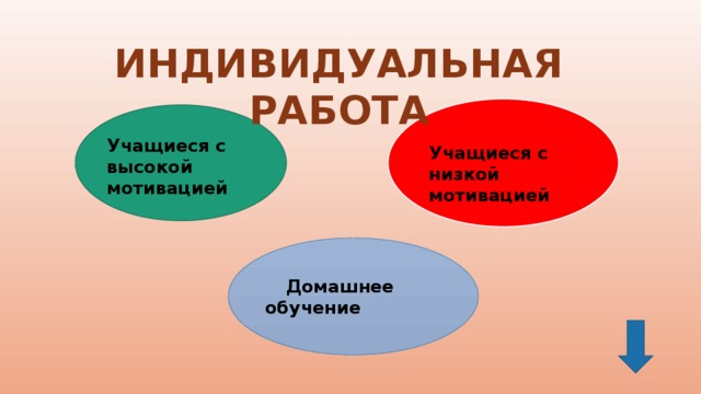 ИНДИВИДУАЛЬНАЯ РАБОТА Учащиеся с высокой мотивацией Учащиеся с низкой мотивацией  Домашнее обучение 