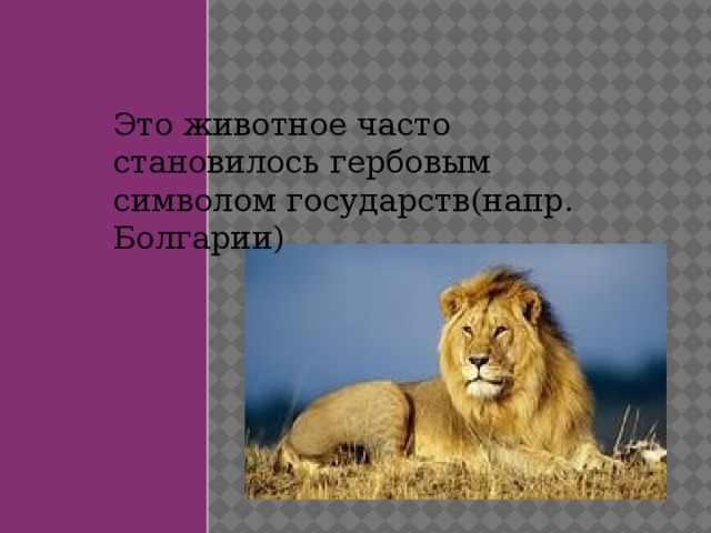 Это животное часто становилось гербовым символом государств(напр. Болгарии) 