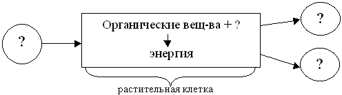 Заполните схему изменения веществ происходящих в ходе процесса дыхания