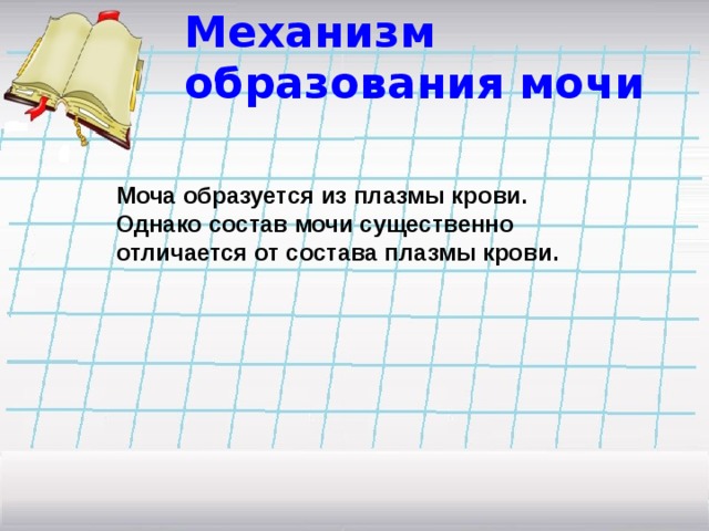 Механизм образования мочи Моча образуется из плазмы крови. Однако состав мочи существенно отличается от состава плазмы крови. 