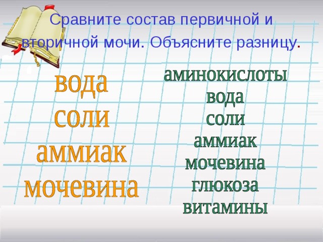 Сравните состав первичной и вторичной мочи. Объясните разницу .  Сравните состав первичной и вторичной мочи. Объясните разницу. (Первичная моча содержит полезные вещества: аминокислоты, витамины, глюкозу, часть солей и воды. Вторичная моча содержит то, что нужно удалить из организма).  