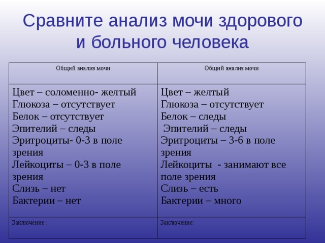 Сравните анализ мочи здорового и больного человека Общий анализ мочи Общий анализ мочи Цвет – соломенно- желтый Глюкоза – отсутствует Белок – отсутствует Эпителий – следы Эритроциты- 0-3 в поле зрения Лейкоциты – 0-3 в поле зрения Слизь – нет Бактерии – нет Цвет – желтый Глюкоза – отсутствует Белок – следы  Эпителий – следы Эритроциты – 3-6 в поле зрения Лейкоциты - занимают все поле зрения Слизь – есть Бактерии – много Заключение : Заключение: Если человек болен, организм функционирует иначе, чем когда он здоров. Отражается это и на составе мочи.Об этом знали еще средневековые врачи, Уже в XIV веке мы находим в литературе научные статьи о составе мочи. Мочу исследовали по запаху, по цвету. В мочу ставили разные цветы и по тому, насколько быстро они увядали, судили о здоровье или о болезни человека.  В наше время мочу исследуют в лабораториях. С помощью различных химических веществ устанавливают, нет ли в моче сахара или белка, не находятся ли в ней красящие вещества желчи или другие вещества, которые здоровый организм не мог бы выделить.  