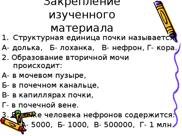 Закрепление изученного материала Структурная единица почки называется: А- долька, Б- лоханка, В- нефрон, Г- кора. 2. Образование вторичной мочи происходит: А- в мочевом пузыре, Б- в почечном канальце, В- в капиллярах почки, Г- в почечной вене. 3. В почке человека нефронов содержится:  А- 5000, Б- 1000, В- 500000, Г- 1 млн. 