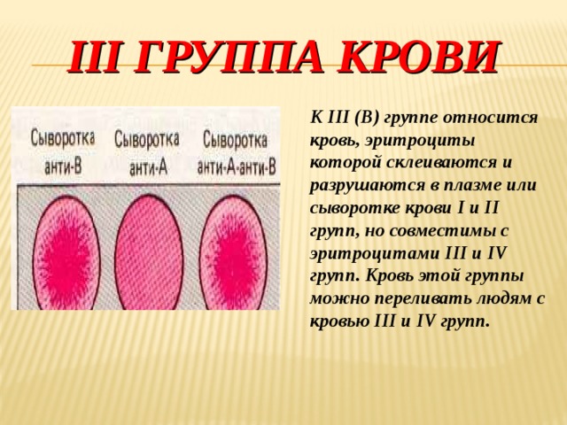 III группа крови  К III (В) группе относится кровь, эритроциты которой склеиваются и разрушаются в плазме или сыворотке крови I и II групп, но совместимы с эритроцитами III и IV групп. Кровь этой группы можно переливать людям с кровью III и IV групп. 