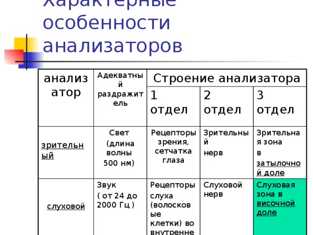 Характерные особенности анализаторов анализатор Адекватный раздражитель Строение анализатора  зрительный Свет  1 отдел (длина волны 2 отдел Звук Рецепторы зрения, сетчатка глаза  ( от 24 до 2000 Гц ) Зрительный 500 нм) слуховой 3 отдел Рецепторы нерв Зрительная зона слуха (волосковые клетки) во внутреннем ухе Слуховой нерв в Слуховая зона в височной доле затылочной доле 