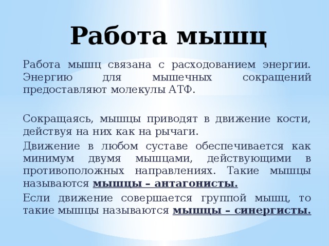 Почему утомление при статической работе наступает быстрее чем при динамической