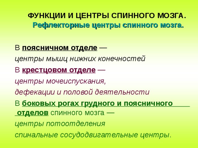 ФУНКЦИИ И ЦЕНТРЫ СПИННОГО МОЗГА.   Рефлекторные центры спинного мозга.  В поясничном отделе —  центры мышц нижних конечностей  В крестцовом отделе —   центры мочеиспускания,  дефекации и половой деятельности  В боковых рогах грудного и поясничного отделов спинного мозга —  центры потоотделения  спинальные сосудодвигательные центры . 