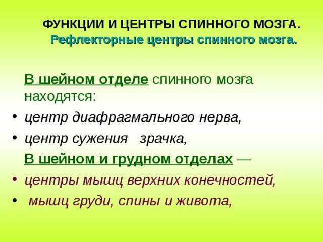 ФУНКЦИИ И ЦЕНТРЫ СПИННОГО МОЗГА.   Рефлекторные центры спинного мозга.  В шейном отделе спинного мозга находятся:  центр диафрагмального нерва, центр сужения зрачка,  В шейном и грудном отделах —  центры мышц верхних конечностей,  мышц груди, спины и живота,  